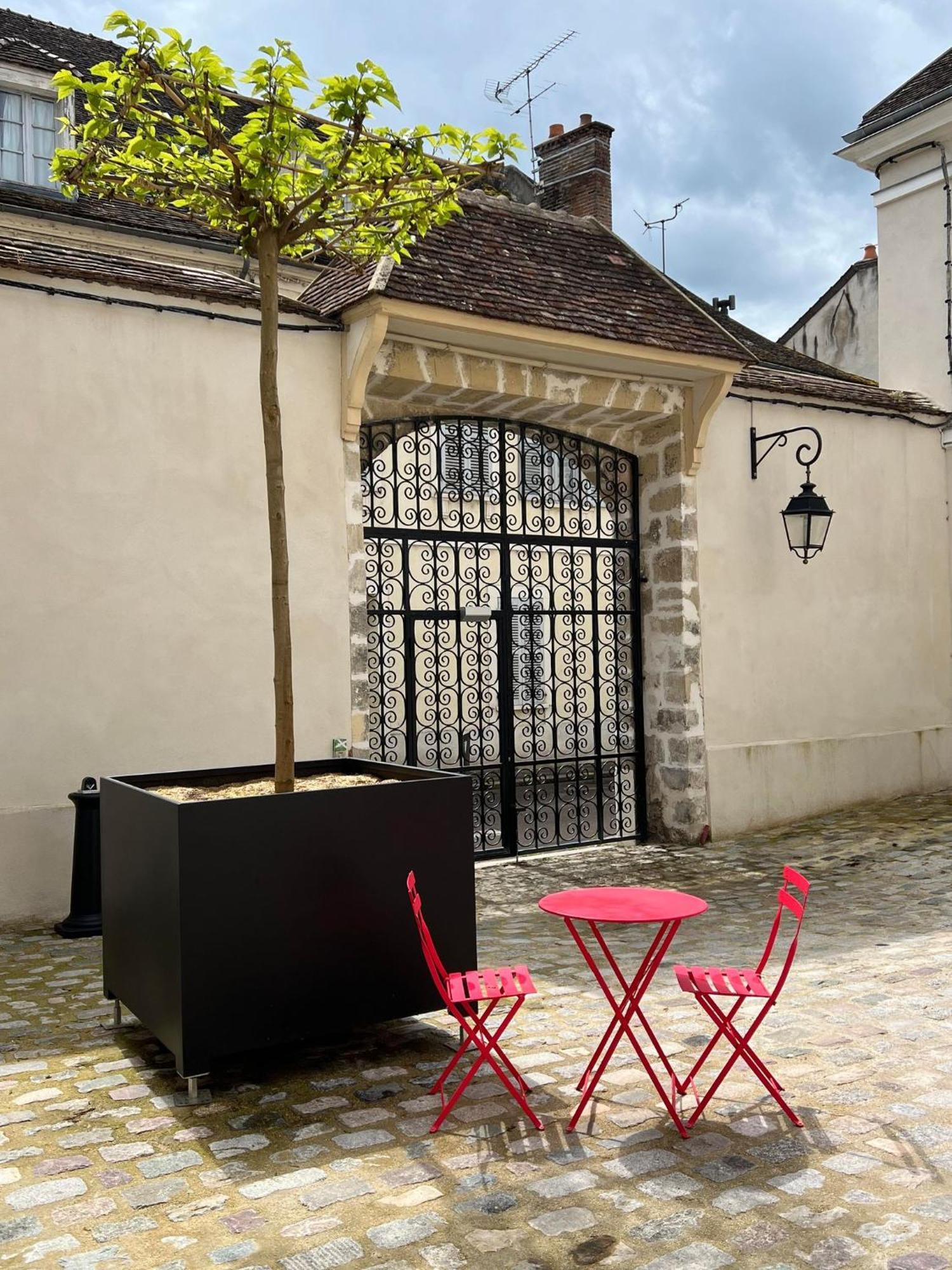 Le Laurencin Sens - Le Duplex - Coeur De Ville Bagian luar foto